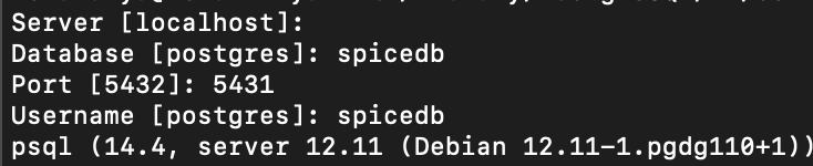 SpiceDB connection config